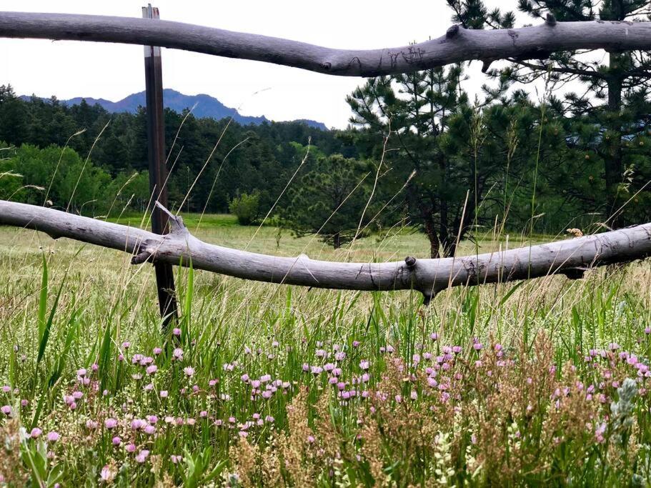 Boulder Best City And Nature With Lake And Trails Pets Ok Luaran gambar